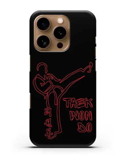 Чехол с изображением Боец Тхэквондо силиконовый для iPhone 16 Pro