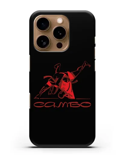 Чехол с иллюстрацией Самбо силиконовый для iPhone 16 Pro