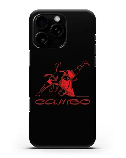Чехол с иллюстрацией Самбо силиконовый для iPhone 16 Pro Max