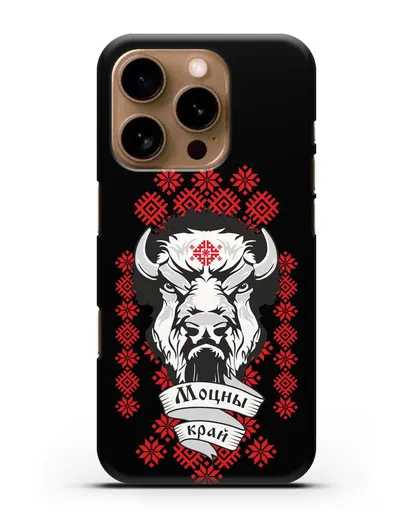 Чехол с зубром и надписью Моцны край с белорусским орнаментом силиконовый для iPhone 16 Pro