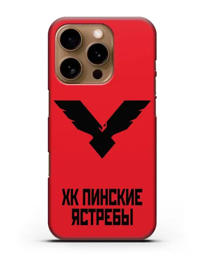 Чехол с эмблемой ХК Пинские ястребы силиконовый для iPhone 16 Pro