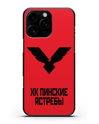 Чехол с эмблемой ХК Пинские ястребы силиконовый для iPhone 16 Pro Max