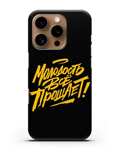 Чехол Молодость всё прощает! силиконовый для iPhone 16 Pro