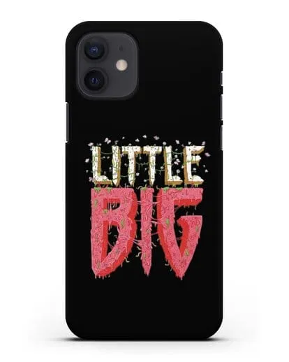 Чехол с логотипом Little Big силиконовый для iPhone 12
