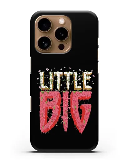 Чехол с логотипом Little Big силиконовый для iPhone 16 Pro