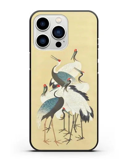 Чехол Японская гравюра Аисты силиконовый для iPhone 13 Pro