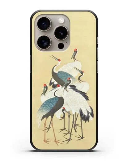 Чехол Японская гравюра Аисты силиконовый для iPhone 15 Pro