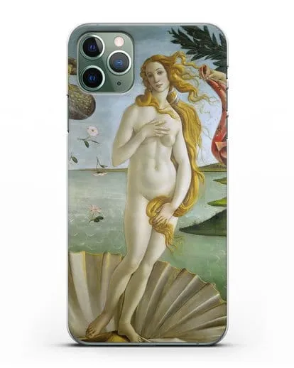 Чехол Рождение Венеры (Боттичели Сандро) силиконовый для iPhone 11 Pro