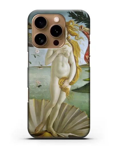 Чехол Рождение Венеры (Боттичели Сандро) силиконовый для iPhone 16 Pro