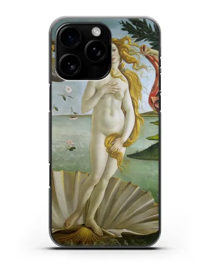Чехол Рождение Венеры (Боттичели Сандро) силиконовый для iPhone 16 Pro Max