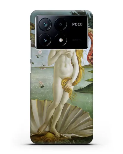 Чехол Рождение Венеры (Боттичели Сандро) силиконовый для Xiaomi Poco X6 Pro