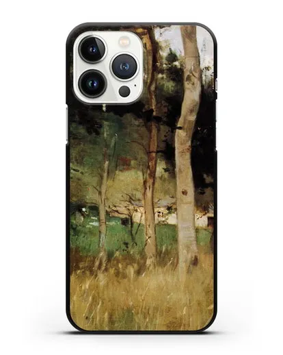 Чехол Соломенный коттедж в Нормандии (Моризо Берта) силиконовый для iPhone 13 Pro Max