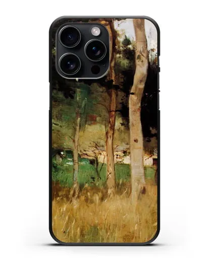 Чехол Соломенный коттедж в Нормандии (Моризо Берта) силиконовый для iPhone 15 Pro Max