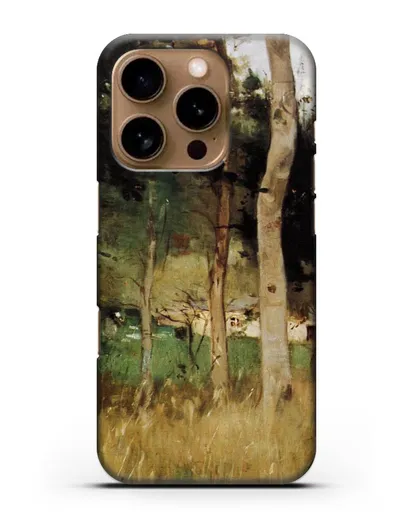 Чехол Соломенный коттедж в Нормандии (Моризо Берта) силиконовый для iPhone 16 Pro