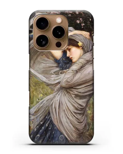 Чехол Северный ветер (Уотерхаус Джон Уильям) силиконовый для iPhone 16 Pro