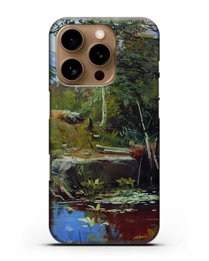 Чехол Пейзаж с мостиком (Шишкин Иван) силиконовый для iPhone 16 Pro