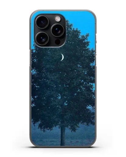 Чехол Шестнадцатое сентября (Магритт Рене) силиконовый для iPhone 15 Pro Max