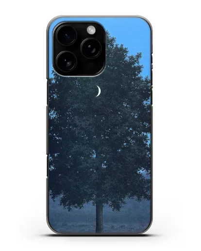 Чехол Шестнадцатое сентября (Магритт Рене) силиконовый для iPhone 16 Pro Max