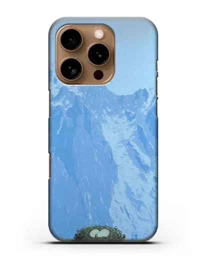 Чехол Владения Арнхейма (Магритт Рене) силиконовый для iPhone 16 Pro