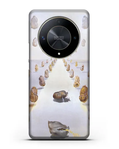 Чехол Путь загадок (Дали Сальвадор) силиконовый для Honor X9b