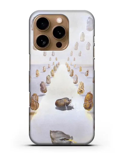 Чехол Путь загадок (Дали Сальвадор) силиконовый для iPhone 16 Pro