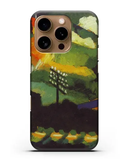 Чехол Вид Мурнау с железной дорогой и замком (Кандинский Василий) силиконовый для iPhone 16 Pro