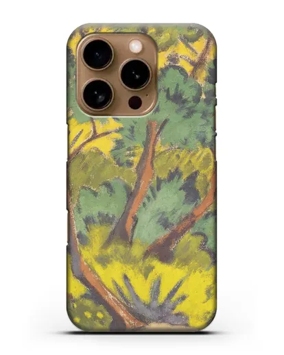 Чехол Лес с камнем и кустами (Мюллер Отто) силиконовый для iPhone 16 Pro