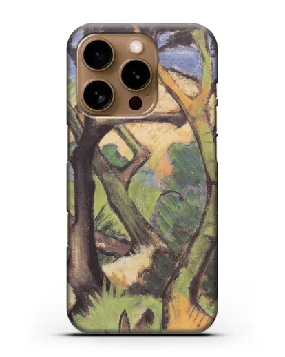 Чехол Вечерний пейзаж (Мюллер Отто) силиконовый для iPhone 16 Pro