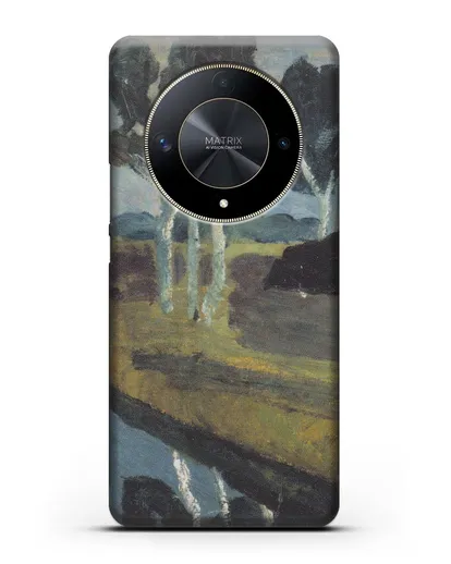 Чехол Серый пейзаж с болотным каналом (Модерзон-Беккер Паула) силиконовый для Honor X9b