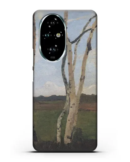 Чехол Пейзаж с березовыми стволами (Модерзон-Беккер Паула) силиконовый для Honor 200 Pro