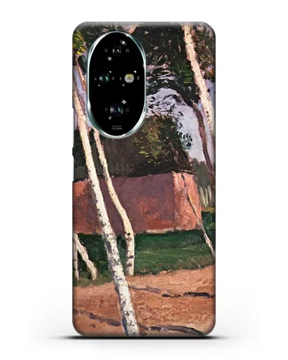 Чехол Пейзаж Ворпсведера (Модерзон-Беккер Паула) силиконовый для Honor 200 Pro