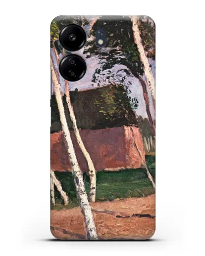 Чехол Пейзаж Ворпсведера (Модерзон-Беккер Паула) силиконовый для Xiaomi Poco C65