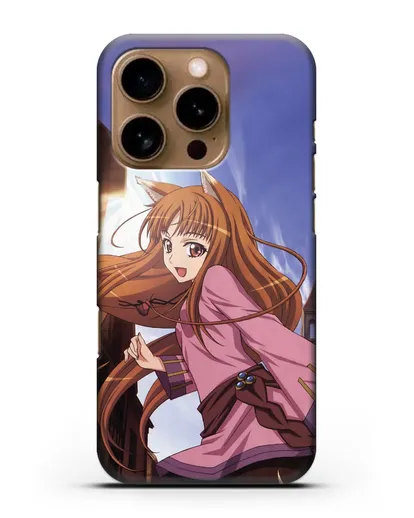 Чехол аниме Волчица и пряности - Волчица в городе силиконовый для iPhone 16 Pro