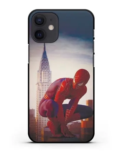 Чехол с принтом Человек-паук над городом силиконовый для iPhone 12 mini