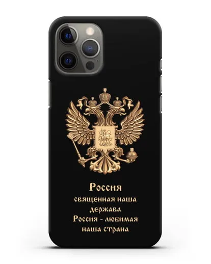 Чехол с надписью Россия священная наша держава силиконовый для iPhone 12 Pro Max