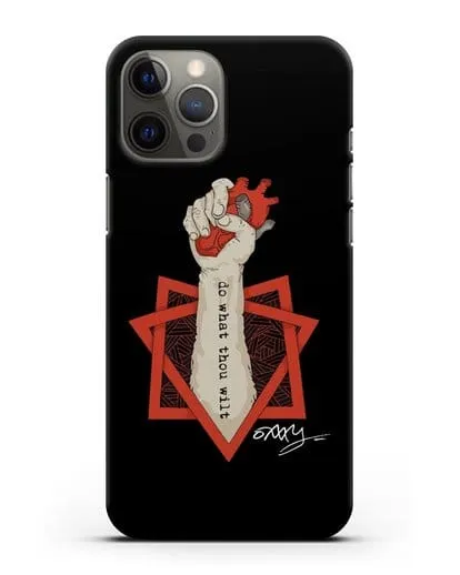 Чехол Do what thou wilt силиконовый для iPhone 12 Pro Max