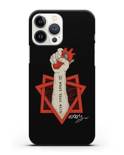 Чехол Do what thou wilt силиконовый для iPhone 13 Pro Max
